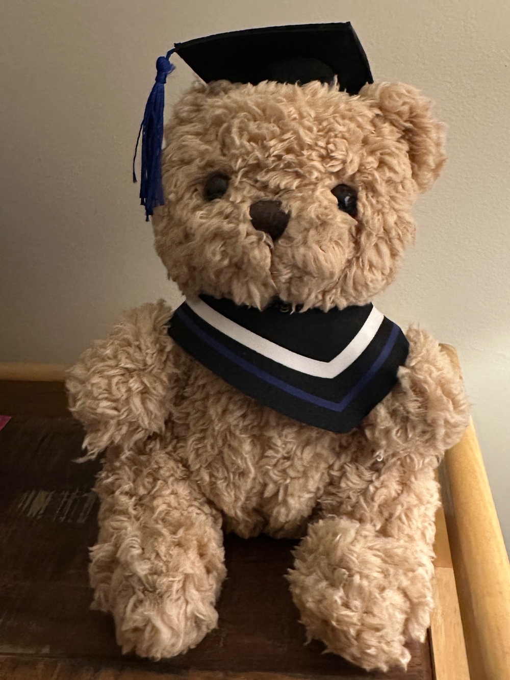 NEW! Graduation Teddy Bear Plush with Navy Cap and “Congratulations” Scarf